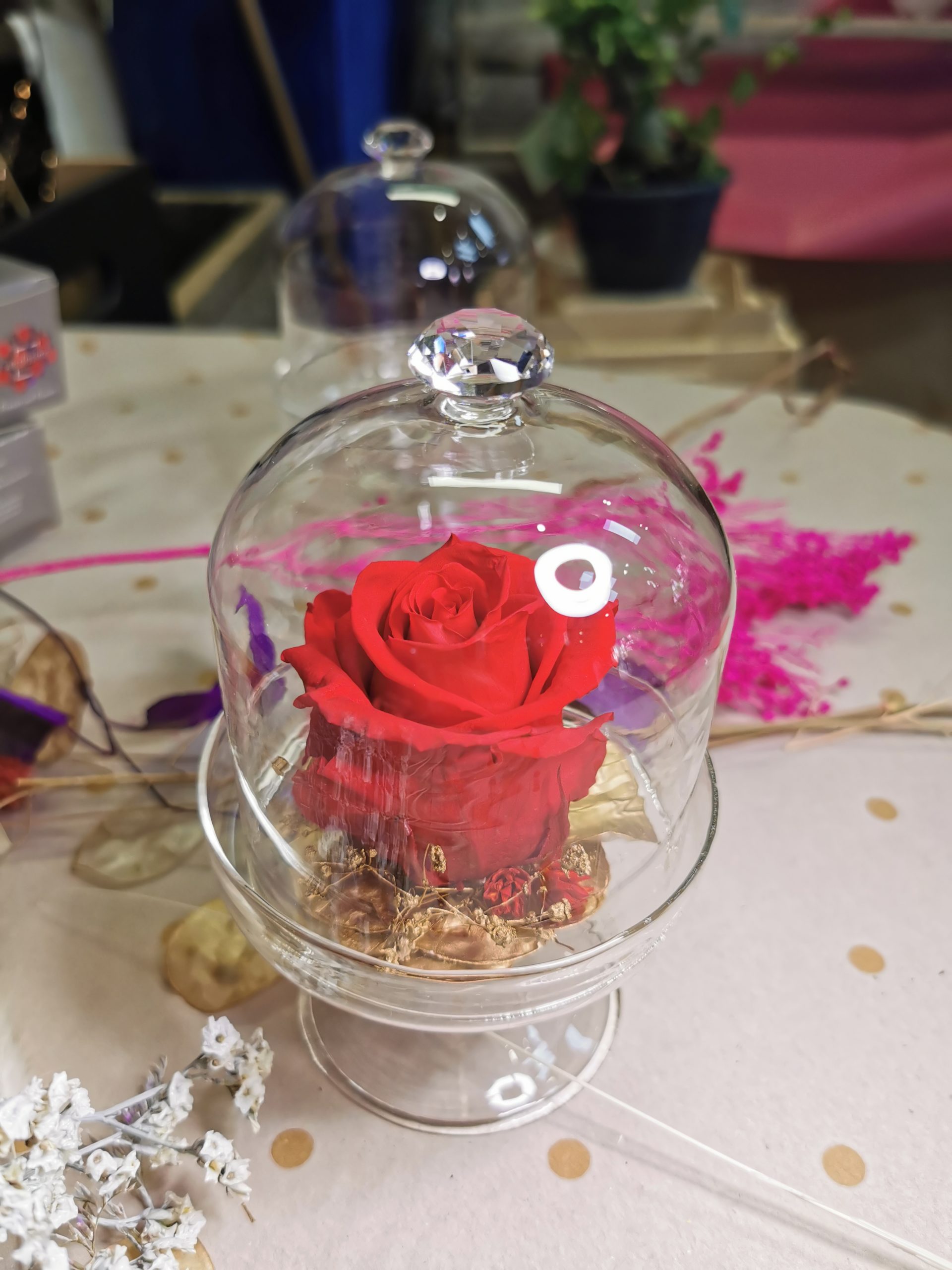 Rose éternelle Rouge sous sa petite cloche de verre – Art Floral Macabiau  Gineste