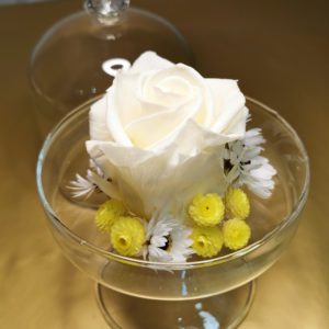 Rose éternelle blanche sous sa petite cloche de verre – Art Floral Macabiau  Gineste