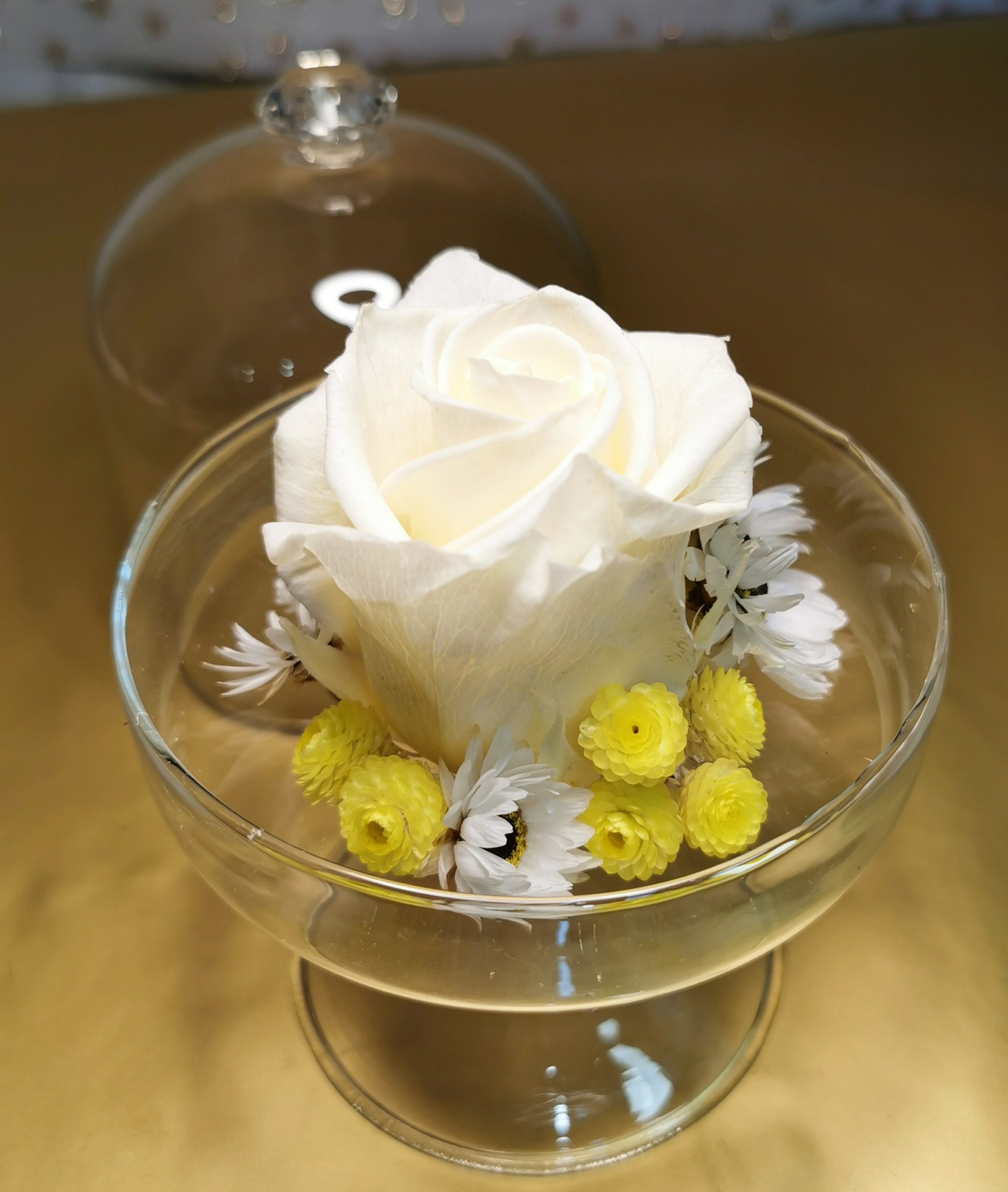 Rose éternelle blanche sous sa petite cloche de verre – Art Floral Macabiau  Gineste