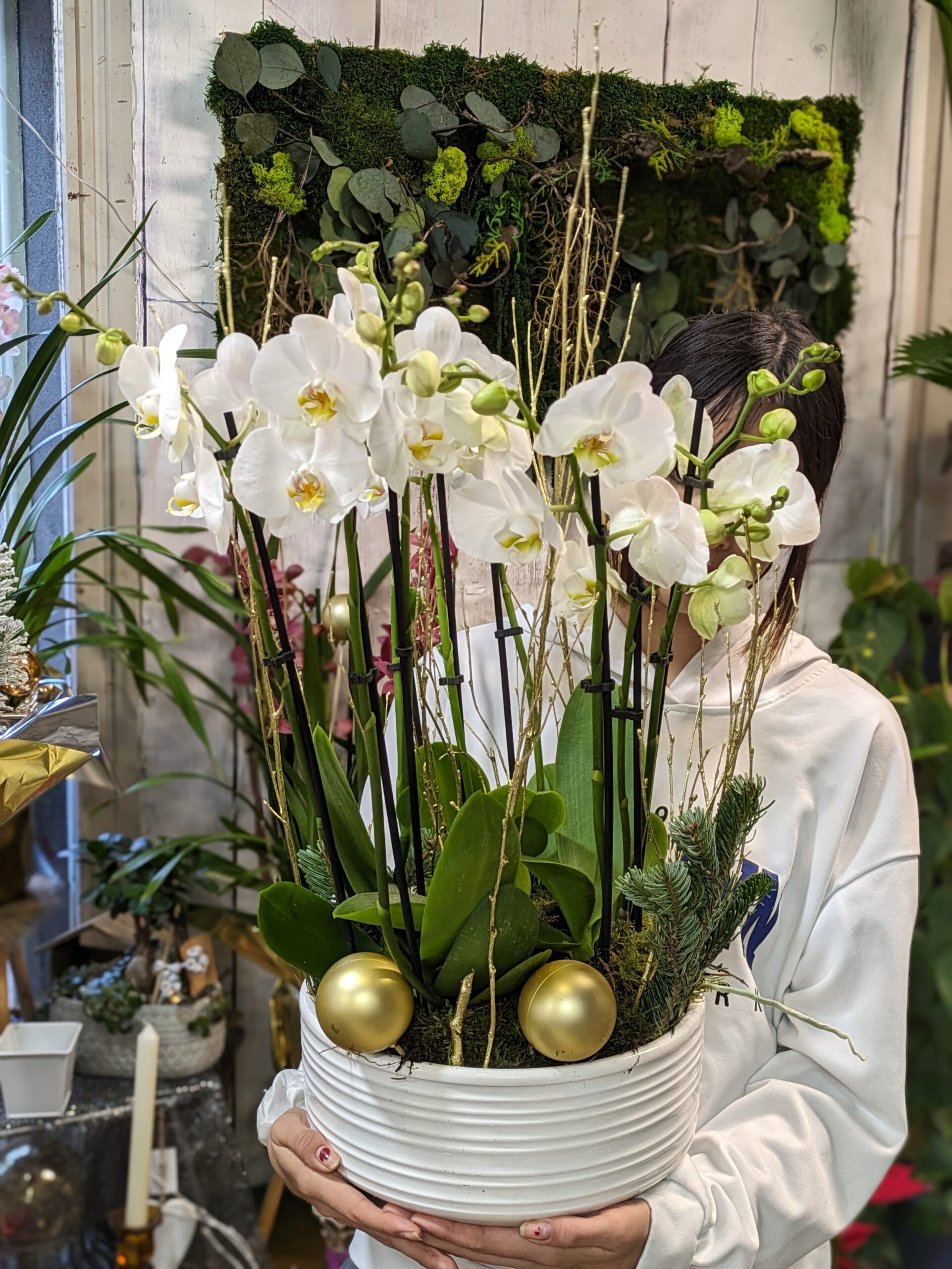 Orchidées et design, la combinaison gagnante