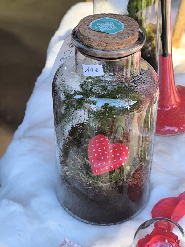 petit terrarium spécial saint valentin – Image 2