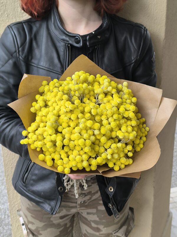 Bouquet d'immortelles des Pyrénées Orientales – Image 2