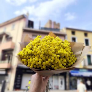 Bouquet d'immortelles des Pyrénées Orientales