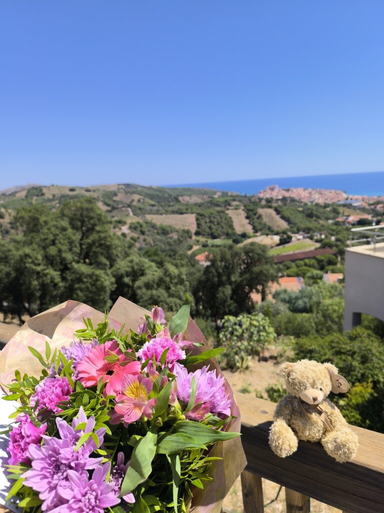 bouquet de fleurs en livraison à Banyuls sur mer accompagné d'une peluche