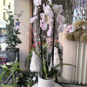 Orchidée avec décor de Noël