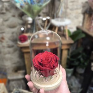 rose éternelle sous cloche de verre