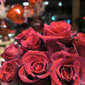 COMPOSEZ VOTRE BOUQUET DE ROSES ROUGES variété explorer (plus de 60cm)