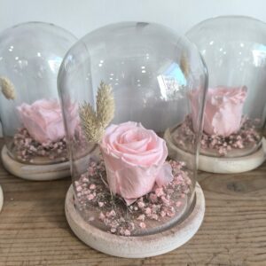 Rose éternelle pour Maman